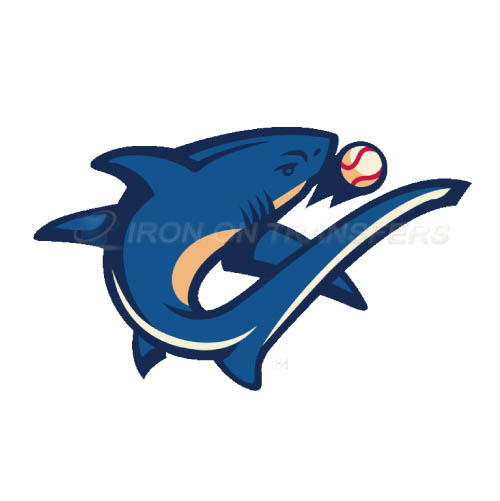 Clearwater Threshers Iron-on Stickers (Heat Transfers)NO.7888